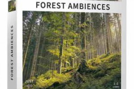 Just Sound Effects Forest Ambiences WAV