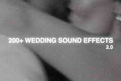 Free Download:Plus Two Wedding SFX