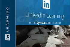 Linkedin – Photoshop: Tips and Quick Fixes (2024)