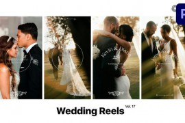 Wedding Reels for Premiere Pro Vol. 17 49377088