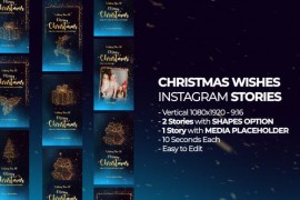 Christmas Wishes Instagram Stories 49639914