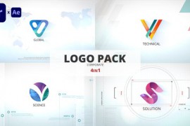 Logo Reveal 48998322