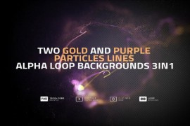 Two Gold And Purple Particles Lines Alpha Loop Backgrounds 3in1 42182836