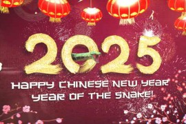 Chinese New Year Celebration 2025 | After Effects 56333739