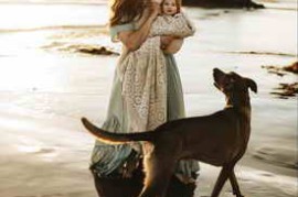 Free Download:Aspen Dawn – Pack 03 Presets