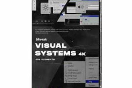 Blindusk – Visual Systems (2022)