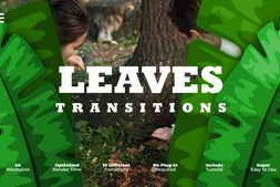 Free Download:Leaves Transitions 59684827