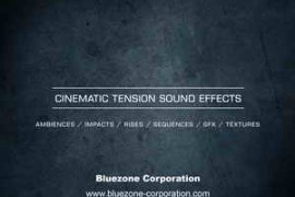Bluezone Corporation Cinematic Tension Sound Effects WAV