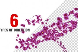 Flowers Spiral Pack V4 50805584