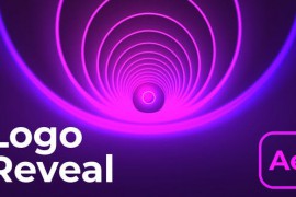 Logo Reveal 43600438