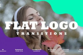 Flat Logo Transitions 52072392