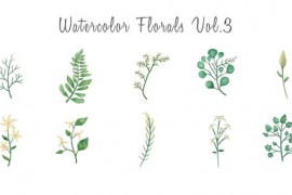 Watercolor floral elements Vol.3 33562003