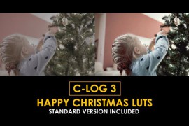C-Log3 Happy Christmas and Standard Color LUTs 51147681