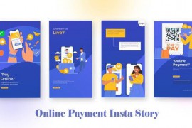 Online Payment Instagram Story Premiere Pro Template 44608354