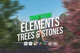 Transition Elements Trees & Stones 45403706