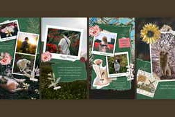 Free Download:Spring Collage 62734061