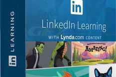 Linkedin – Illustrator 2025 Essential Training