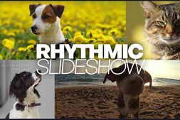 Free Download:Rhythmic Slideshow 60071119