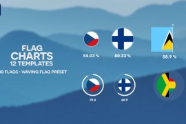 12 Flag Charts | 240 Flags | Infographics Pack 45481825