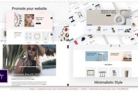 Fresh Style Website Promo 45821959