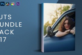 LUTs Bundle Pack V17 43499591