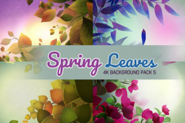 Spring Leaves 4K Background Pack 49576662