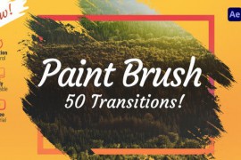 Paint Brush Transitions 31434194