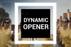 Dynamic Opener 21609711