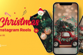 Christmas Reels Vol. 05 49686661