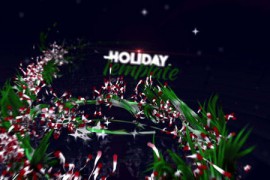 Christmas 20812422
