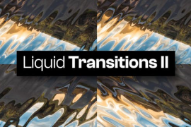 10 Liquid Transitions II 48593991