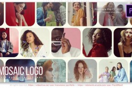 Fast Blog Logo Reveal 42249266