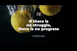 Quotes Titles 47591345