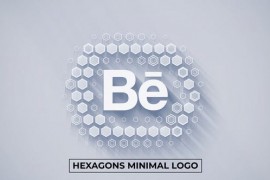Hexagons Minimal Logo Reveal (14 in 1) 51769478