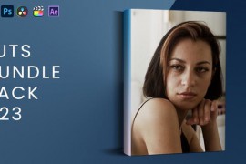 LUTs Bundle Pack V23 45242060