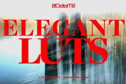 AcidBite – Elegant Luts (2022)