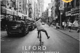 ILFORD HP SIMULATION