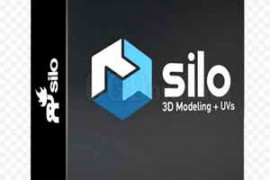 Nevercenter Silo 2024.3.0 Professional Win x64