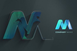 Reveal Logo Intro 51925070