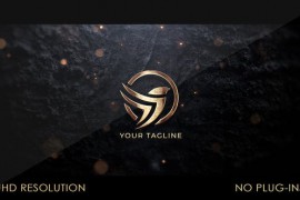 Gold Logo Reveal 44378516