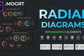 Infographic - Radial Diagrams MOGRT 51480965