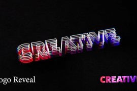 Logo Animation 51839696