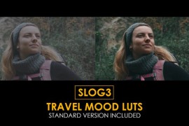 Slog3 Travel Mood and Standard Color LUTs 48789680