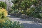 Maxtree Plant Models Vol.76