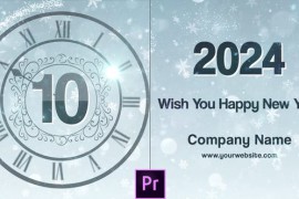 New Year Countdown 2024 - Premiere Pro 42355007