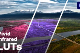 Aerochrome Infrared LUTs 50850158