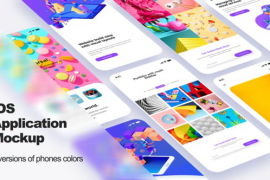 Application Mockup 29655357