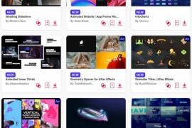 2024.3.11.15.Set.AE.Templates