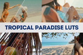 Tropical Paradise LUTs | DaVinci Resolve 51548849