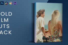 Gold Film Luts Pack 44819880